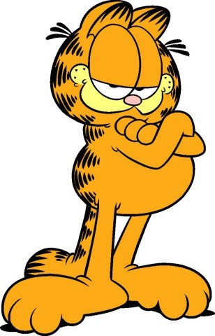 双臂交叉、半眯眼睛的橙色 Garfield